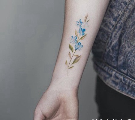 小臂素花纹身 女生小臂的小清新素花纹身图片