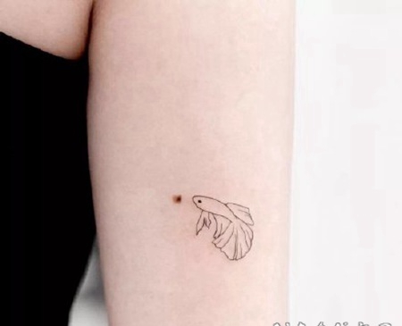 1极简风格的小清新纹身图片欣赏