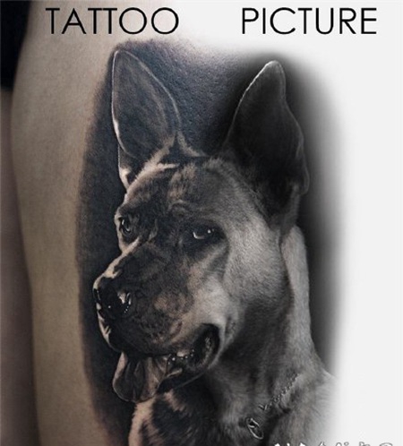 写实的宠物猫狗纹身作品图片