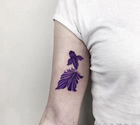 金鱼纹身 漂亮的唯美彩色小金鱼纹身图案