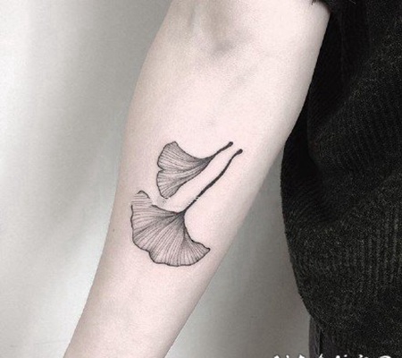 小清新的银杏叶纹身图案