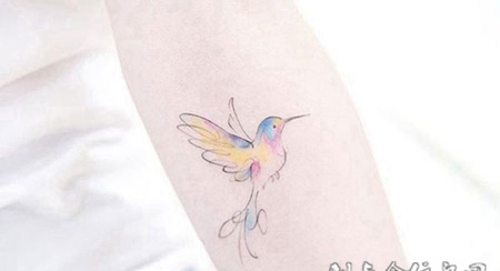 飞在空中的小精灵，手臂蜂鸟小清新彩绘纹身