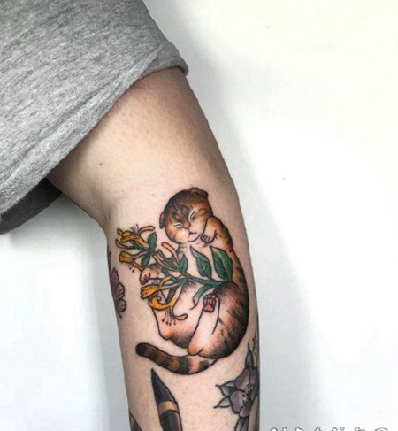 猫狗纹身 可爱小猫小狗主题的彩色小纹身图片