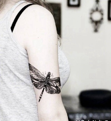 蜻蜓纹身 小清新的黑灰色蜻蜓线条纹身图案