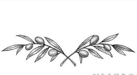很好看的橄榄枝纹身图片