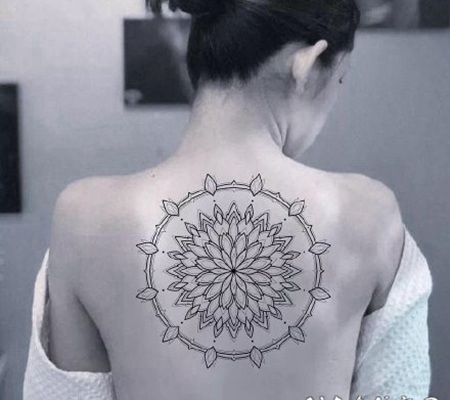 女神专属的素花系列图片