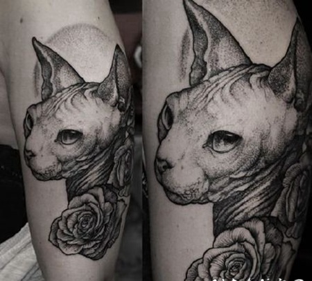 猫刺青图片 动物宠物猫的纹身图片欣赏