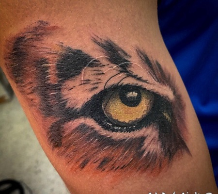 纹身老虎 威风勇猛的老虎纹身图案