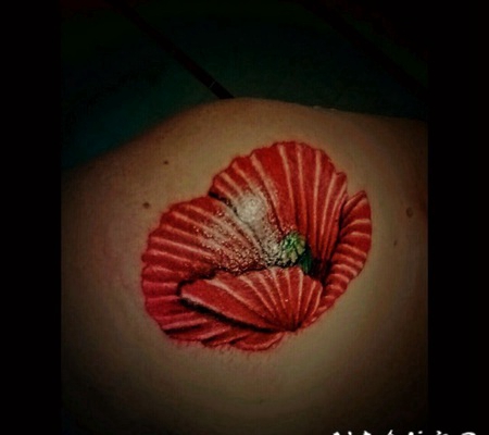罂粟花纹身 妖艳迷人而又魅惑人心的罂粟花纹身图案