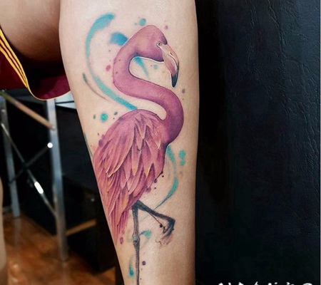 纹身图案动物 艳红如火的火烈鸟纹身图案