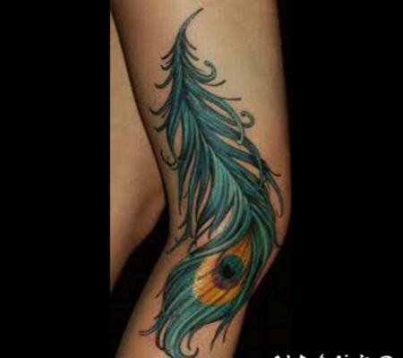 孔雀羽毛纹身 十分柔美的孔雀翎纹身图案