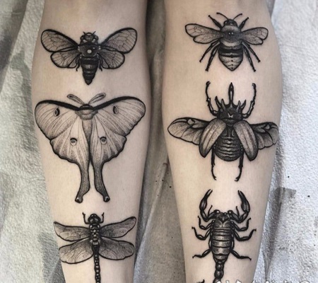 纹身黑色 黑色色调的小巧昆虫纹身图案