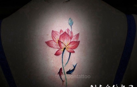 莲下游鱼戏鸳鸯，后背莲花双鱼彩绘纹身