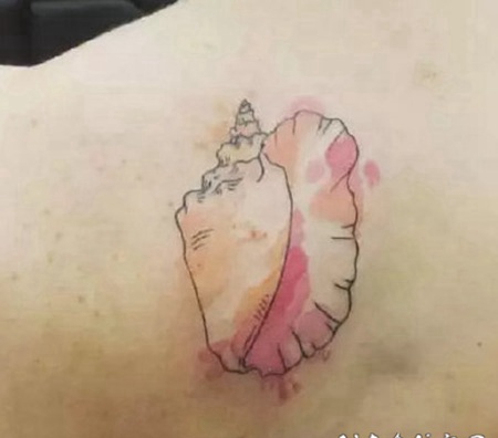 美丽的贝壳主题纹身作品图案