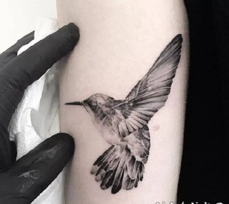 蜂鸟主题的纹身图案作品