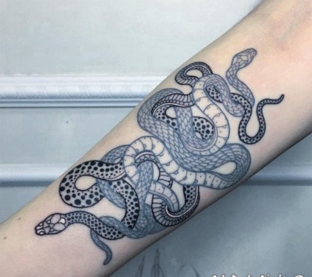 蛇主题的艺术纹身图片