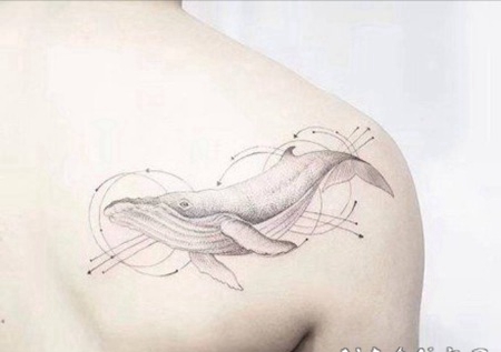 小清新的鲸鱼纹身图片