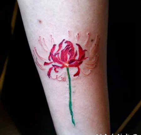 漂亮的曼陀罗彼岸花纹身图案