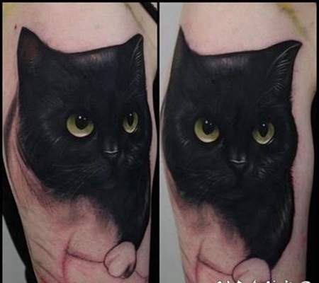 猫主题的猫纹身图案