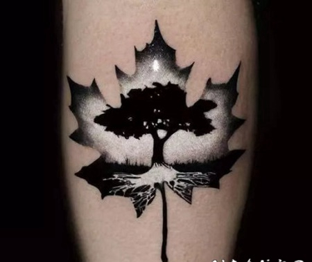 精致的漂亮枫叶纹身图片