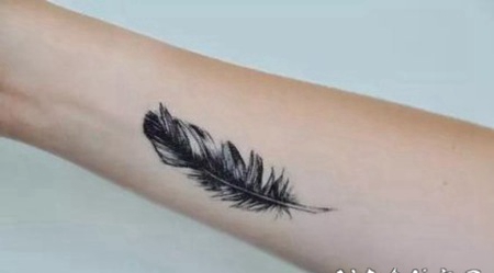飘逸轻灵的羽毛纹身作品图片