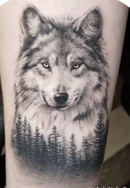 狼头主题的狼纹身图案赏析