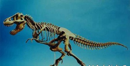 卡通恐龙主题的恐龙纹身图片