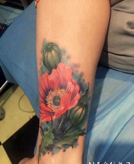萎靡之源，小腿罂粟花彩绘纹身