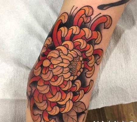 粉色调的鲜花卉纹身图案