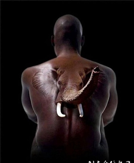 触手可及，后背逼真的大象d纹身