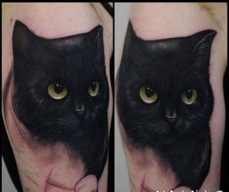 关于猫咪的纹身作品图片