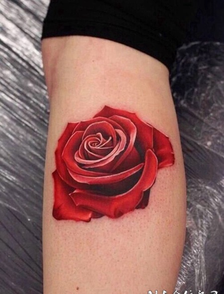 娇艳欲滴，小腿栩栩如生的玫瑰写实纹身
