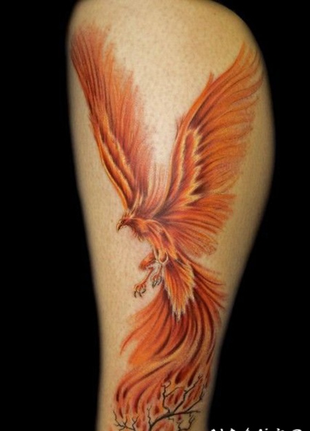 红色的火凤凰纹身图案