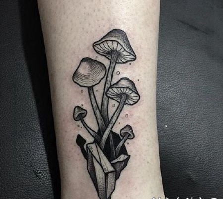 黑灰色的蘑菇植物纹身图