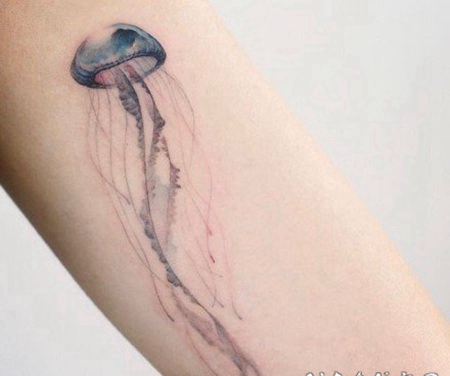 简约小清新的水母纹身图案