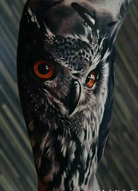 黑暗系3d写实猫头鹰纹身图案作品