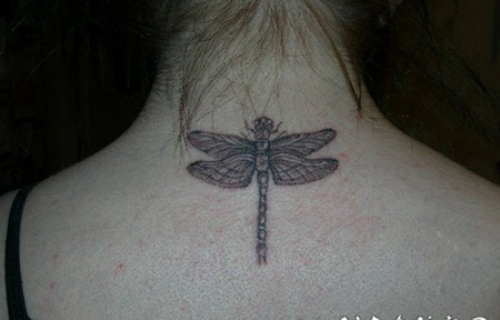 蜻蜓纹身图案 体态轻盈的蜻蜓纹身图案