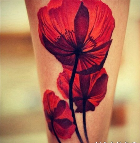 罂粟花纹身图片 鲜丽娇媚的罂粟花纹身图案