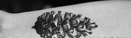 纹身植物图案 具有别样生命力的松果纹身图案