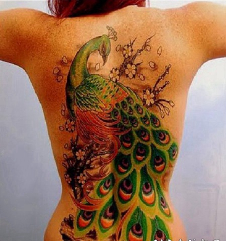 孔雀纹身图片 五光十色的孔雀纹身图案