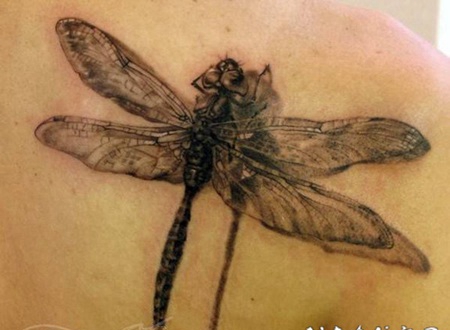 蜻蜓纹身图案 唯美典雅的蜻蜓纹身图案
