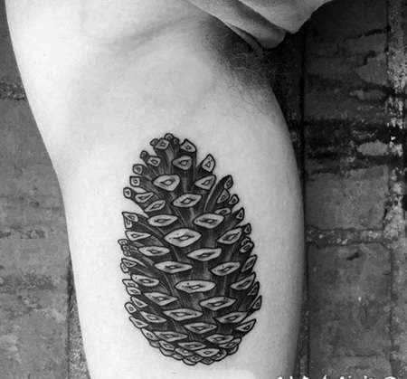 植物纹身 坚硬小巧的松果纹身图案
