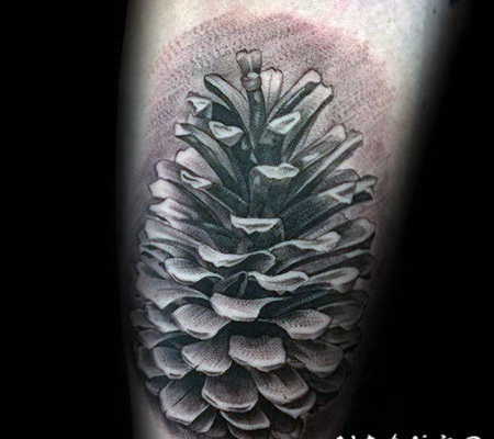 植物纹身 黑灰色调风格的松果纹身图案