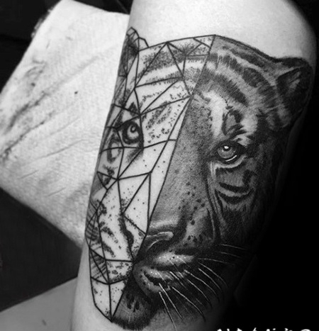 老虎头纹身图案 几何创意的老虎纹身图案