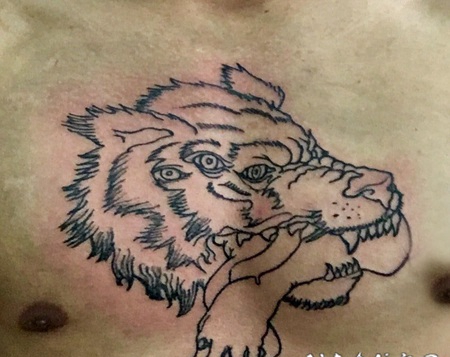 滴血狼头纹身 男生胸部黑色的狼头纹身图片