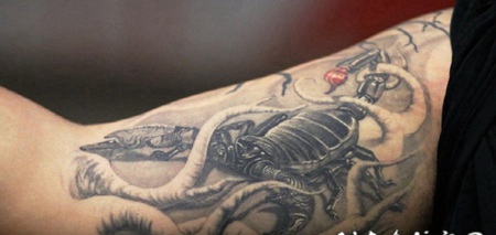 蝎子图片纹身 男生手臂上素描的蝎子纹身图片