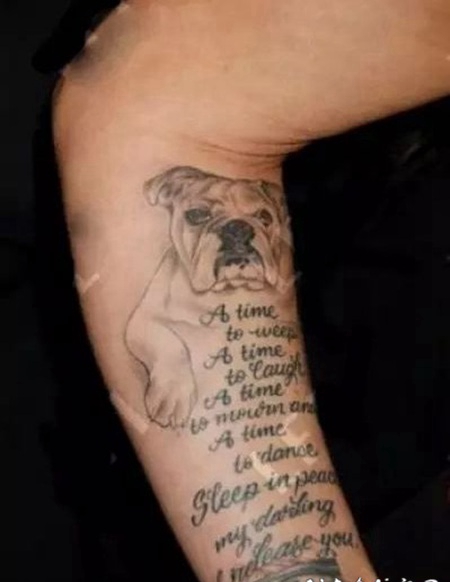 国际纹身明星 Pink小臂上狗和英文纹身图片