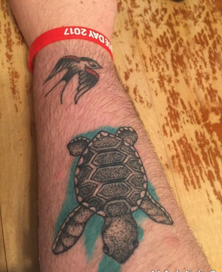 乌龟纹身图案 男生手臂上彩绘的乌龟纹身图片