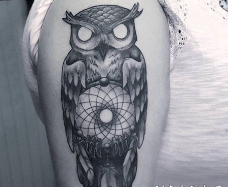 纹身猫头鹰 男生大臂上创意的猫头鹰纹身图片