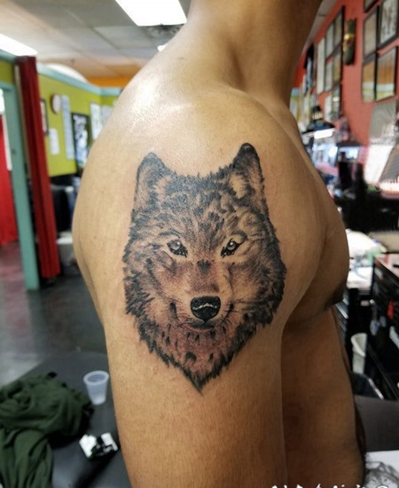 滴血狼头纹身 男生大臂上素描的狼头纹身图片